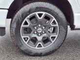 Thumbnail of 2025 Oxford White Ford F-150
