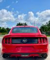 Thumbnail of 2015 Black Ford Mustang
