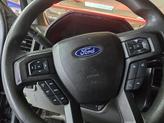Thumbnail of 2018 Guard Ford F-150