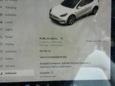 Thumbnail of 2021 Pearl White Multi-Coat Tesla Model Y