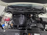 Thumbnail of 2023 Snow White Pearl Kia Sportage