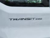 Thumbnail of 2023 Oxford White Ford Transit-250