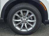Thumbnail of 2024 Platinum White Pearl   Wx Honda CR-V