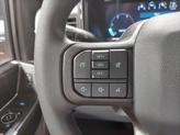 Thumbnail of 2025 Carbonized Gray Metallic Ford F-250