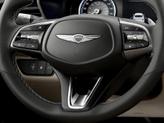 Thumbnail of 2026 Gray Genesis G70