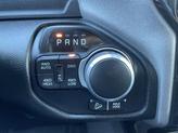 Thumbnail of 2020 Tan RAM 1500