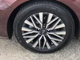 Thumbnail of 2024 Garnet Pearl Metallic Nissan Altima