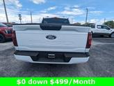 Thumbnail of 2025 Oxford White Ford F-150