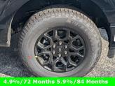 Thumbnail of 2025 Black Metallic Ford F-150