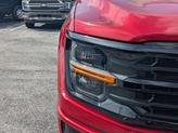Thumbnail of 2025 Rapid Red Metallic Tinted Clearcoat Ford F-150
