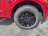 Thumbnail of 2025 Rapid Red Metallic Tinted Clearcoat Ford F-150