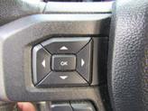 Thumbnail of 2019 Tan Ford F-150