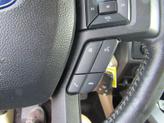 Thumbnail of 2019 Tan Ford F-150