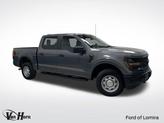 Photo of 2024 Carbonized Gray Metallic Ford F-150