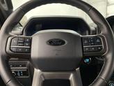 Thumbnail of 2024 Avalanche Gray Ford F-150