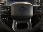 Thumbnail of 2025 Carbonized Gray Metallic Ford F-150