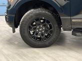 Thumbnail of 2024 Agate Black Metallic Ford F-150