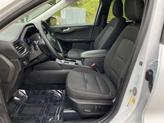 Thumbnail of 2023 Oxford White Ford Escape