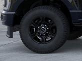 Thumbnail of 2025 Agate Black Metallic Ford F-350