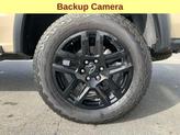 Thumbnail of 2024 Beige / Tan Chevrolet Colorado