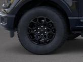 Thumbnail of 2025 Agate Black Metallic Ford F-150