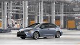 Thumbnail of 2026 Celestite Toyota Corolla
