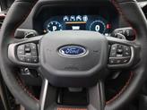 Thumbnail of 2025 Gray Ford Ranger