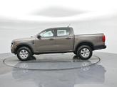 Thumbnail of 2025 Gray Ford Ranger