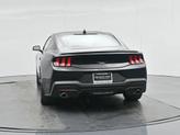 Thumbnail of 2025 Shadow Black Ford Mustang