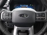 Thumbnail of 2025 Gray Metallic Ford F-150