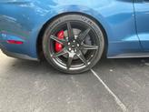 Thumbnail of 2020 Blue Ford Shelby GT500