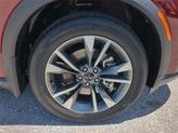 Thumbnail of 2025 Bordeaux INFINITI QX60