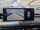 Thumbnail of 2025 Vik Black Genesis G70