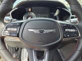 Thumbnail of 2025 Vik Black Genesis G70