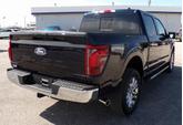 Thumbnail of 2025 Carbonized Gray Metallic Ford F-150