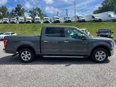 Thumbnail of 2016 Magnetic Ford F-150