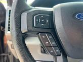 Thumbnail of 2016 Magnetic Ford F-150