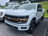 Thumbnail of 2025 White Ford F-150