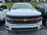 Thumbnail of 2025 White Ford F-150
