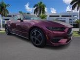 Photo of 2025 Molten Ford Mustang