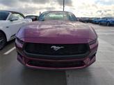 Thumbnail of 2025 Molten Ford Mustang