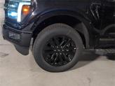 Thumbnail of 2025 Agate Black Metallic Ford F-150