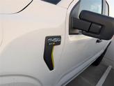 Thumbnail of 2025 Oxford White Ford F-150