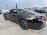 Thumbnail of 2025 Shadow Black Ford Mustang
