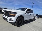 Thumbnail of 2025 Oxford White Ford F-150