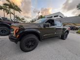 Thumbnail of 2025 Green Ford F-150