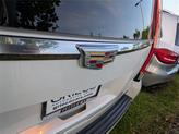 Thumbnail of 2020 Crystal White Tri-Coat Cadillac Escalade