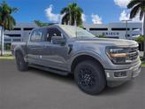 Photo of 2025 Gray Metallic Ford F-150