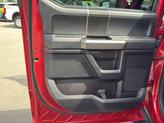 Thumbnail of 2020 Rapid Red Metallic Tinted Clearcoat Ford F-150