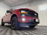Thumbnail of 2025 Red Ford F-150